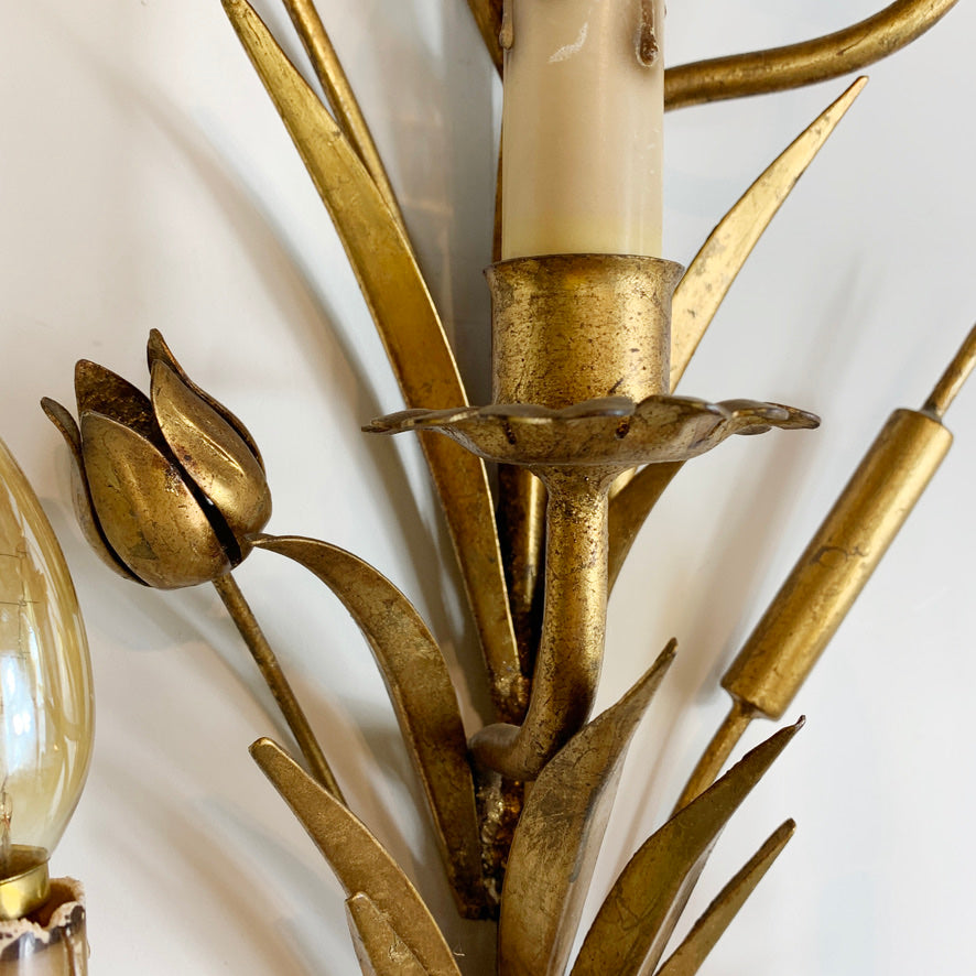 1960's Statement Gold French Bulrush Wall Sconce