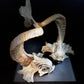 Gabriella Crespi 'Coppia di Delfini' Pair of Rams Horn and Silvered Bronze Mythical Dolphins Each Signed to Base