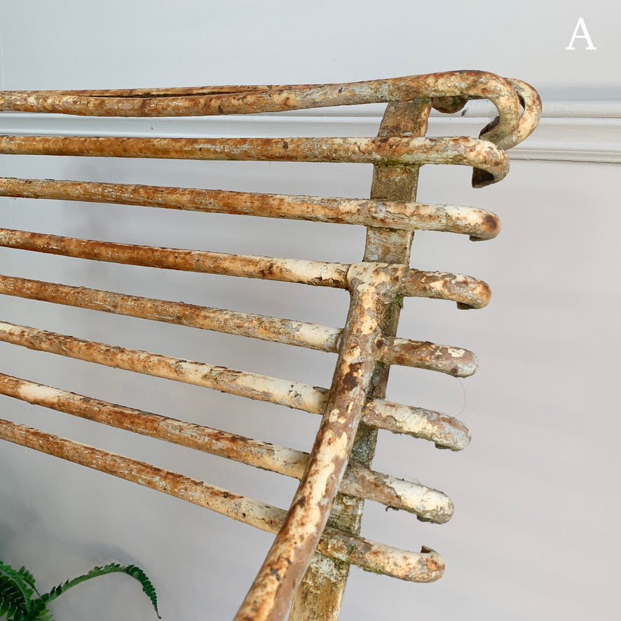 Antique Lions Paw Arras Chair with Arms
