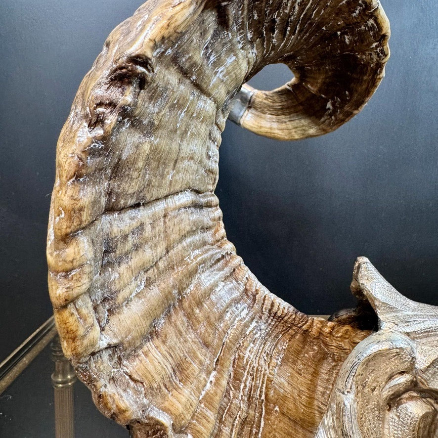 Gabriella Crespi 'Coppia di Delfini' Pair of Rams Horn and Silvered Bronze Mythical Dolphins Each Signed to Base