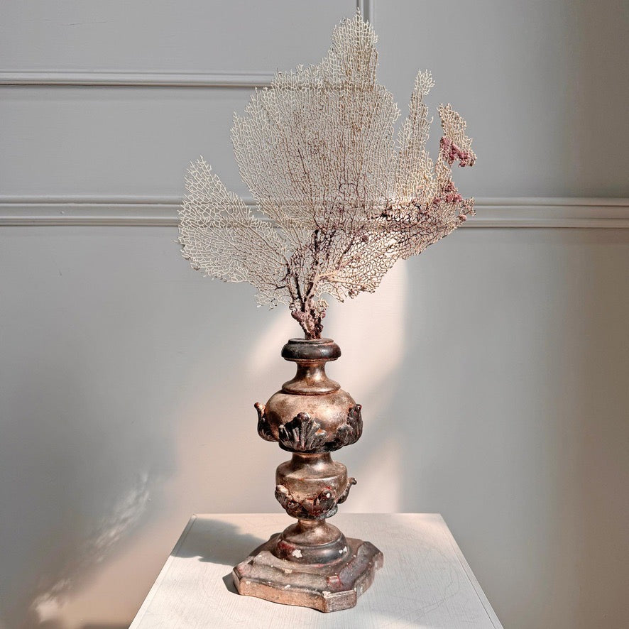 Wood and Gesso Altar Vase in Rose Silver 18th Century Italian