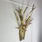 1970's Italian Gold Bulrush Wall Light