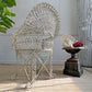 Regency Decorative Wirework Garden Chair