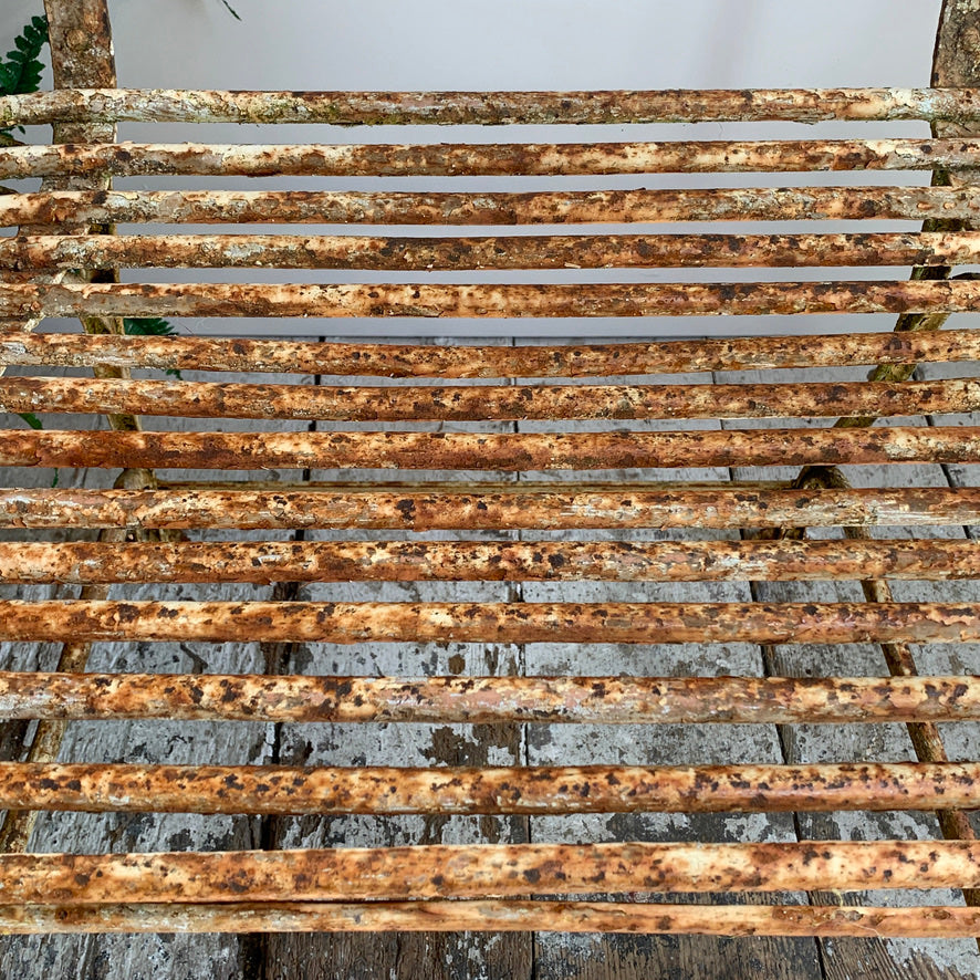 Antique Lions Paw Arras Chair with Arms