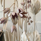 Hans Kogl White and Soft Pink Flower Floor Lamp