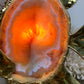 Duval Brasseur Large Gold Agate Angel Fish Lamp