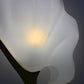 Rare Maison Rougier White Figural Shell Lamp 1970's