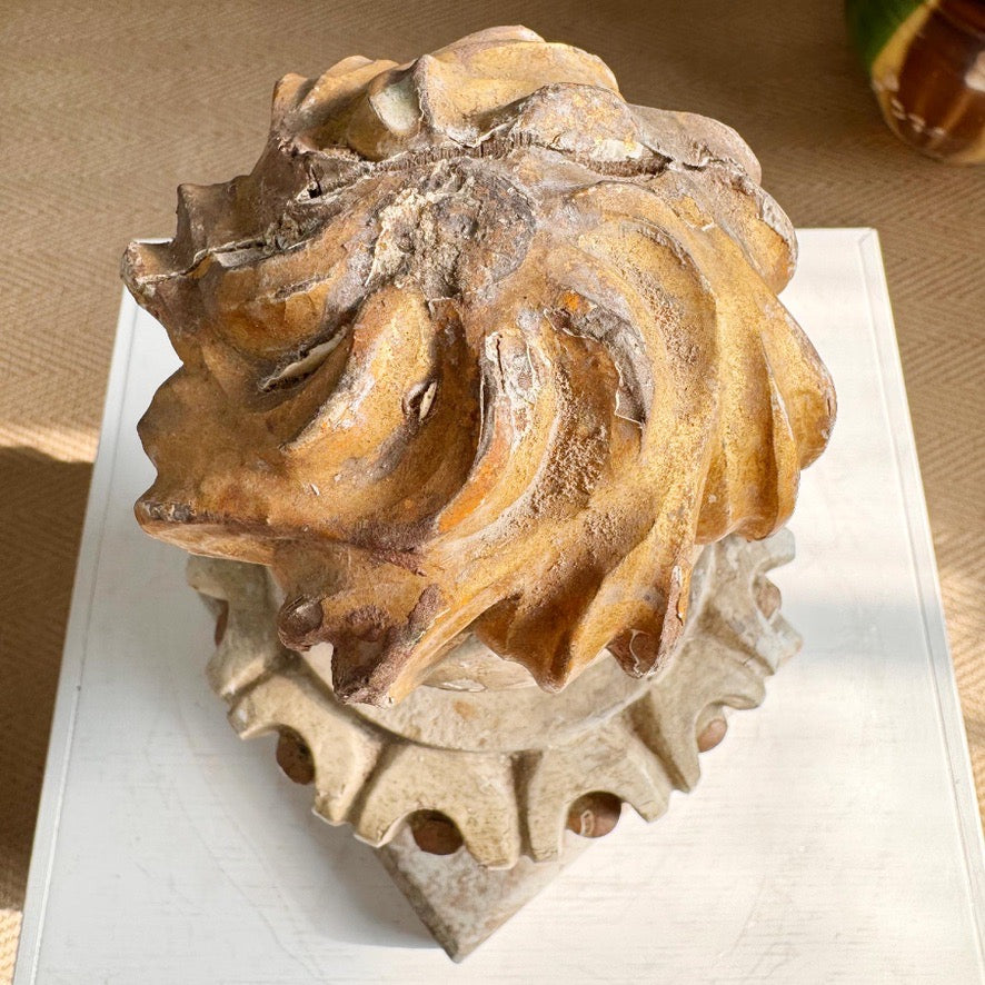 Antique Wood and Gesso Altar Vase with Flame and Faux Marble Italy 18th Century