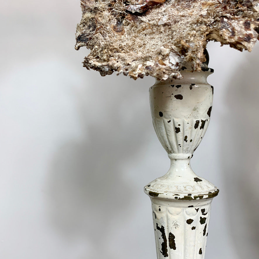 Natural Purple Sea Fan Coral mounted on a vintage brass base