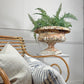 19th Century Cast Iron French Tazza Urn