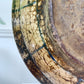 16th Century Safavid Pottery Dish