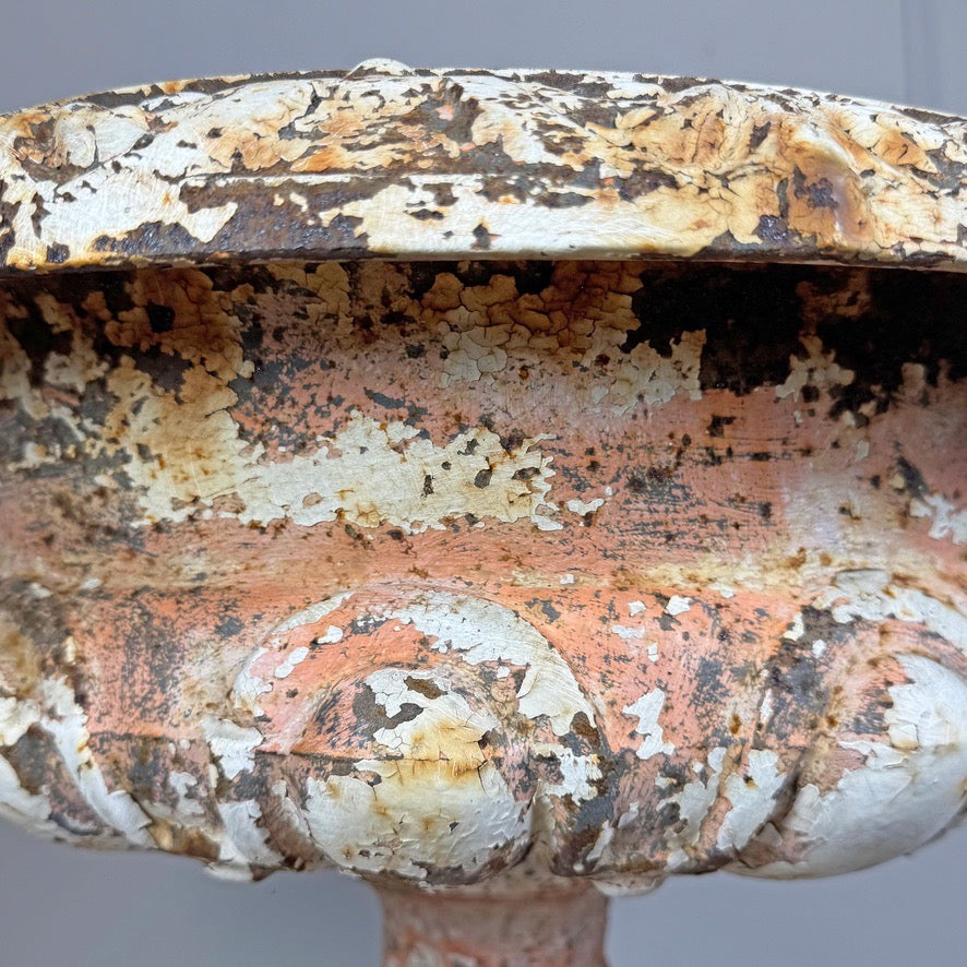 19th Century Cast Iron French Tazza Urn