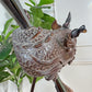Gabriel Viardot 19th Century Carved Wooden Dragon Crescent Mirror