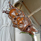 Gabriel Viardot 19th Century Carved Wooden Dragon Crescent Mirror
