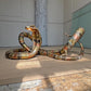 Isabelle Faure Cobra Snake Sculpture Coffee Table