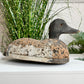 Pair Of Folk Art Decoy Ducks