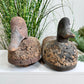 Pair Of Folk Art Decoy Ducks