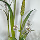 Salvadori Wild Flowers and Fruit Bouquet Tole Wall Light Italy 1960's