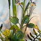 Salvadori Wild Flowers and Fruit Bouquet Tole Wall Light Italy 1960's