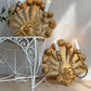 Stunning Pair of Large Ostrich Feather Plume Giltwood Wall Lights Italian 1950's