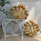 Stunning Pair of Large Ostrich Feather Plume Giltwood Wall Lights Italian 1950's