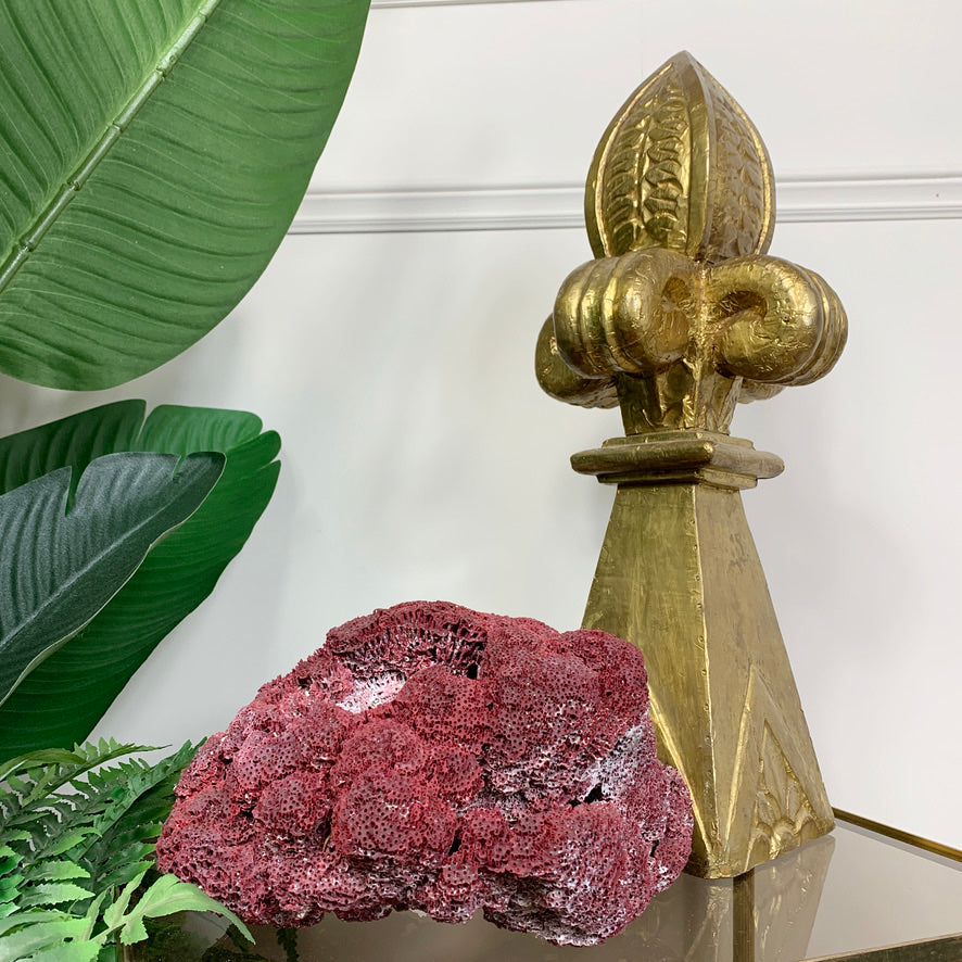 A decorative vintage red natural sea coral and large green tropical leaves against a white wall.