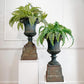 Two large distressed green antique metal garden urn planters with tiered bases, filled with lush green ferns, displayed on white pedestals against a white paneled wall.