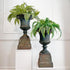 Two large distressed green antique metal garden urn planters with tiered bases, filled with lush green ferns, displayed on white pedestals against a white paneled wall.