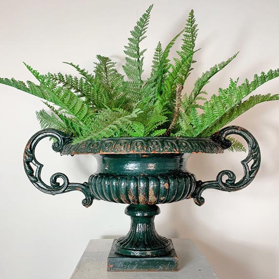A dark green cast iron urn planter with ornate scroll handles, filled with lush green ferns, displayed on a light gray pedestal against a plain off-white background.