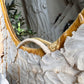 An Exceptional 19th-Century French Dieppe Carved Bone Wall Mirror