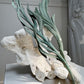 18th Century Decorative Carved Wooden Altar Leaves