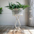 A white metal antique Arras planter basket with a decorative scrollwork stand, filled with lush green ferns, set against a white paneled wall and rustic wooden floor.