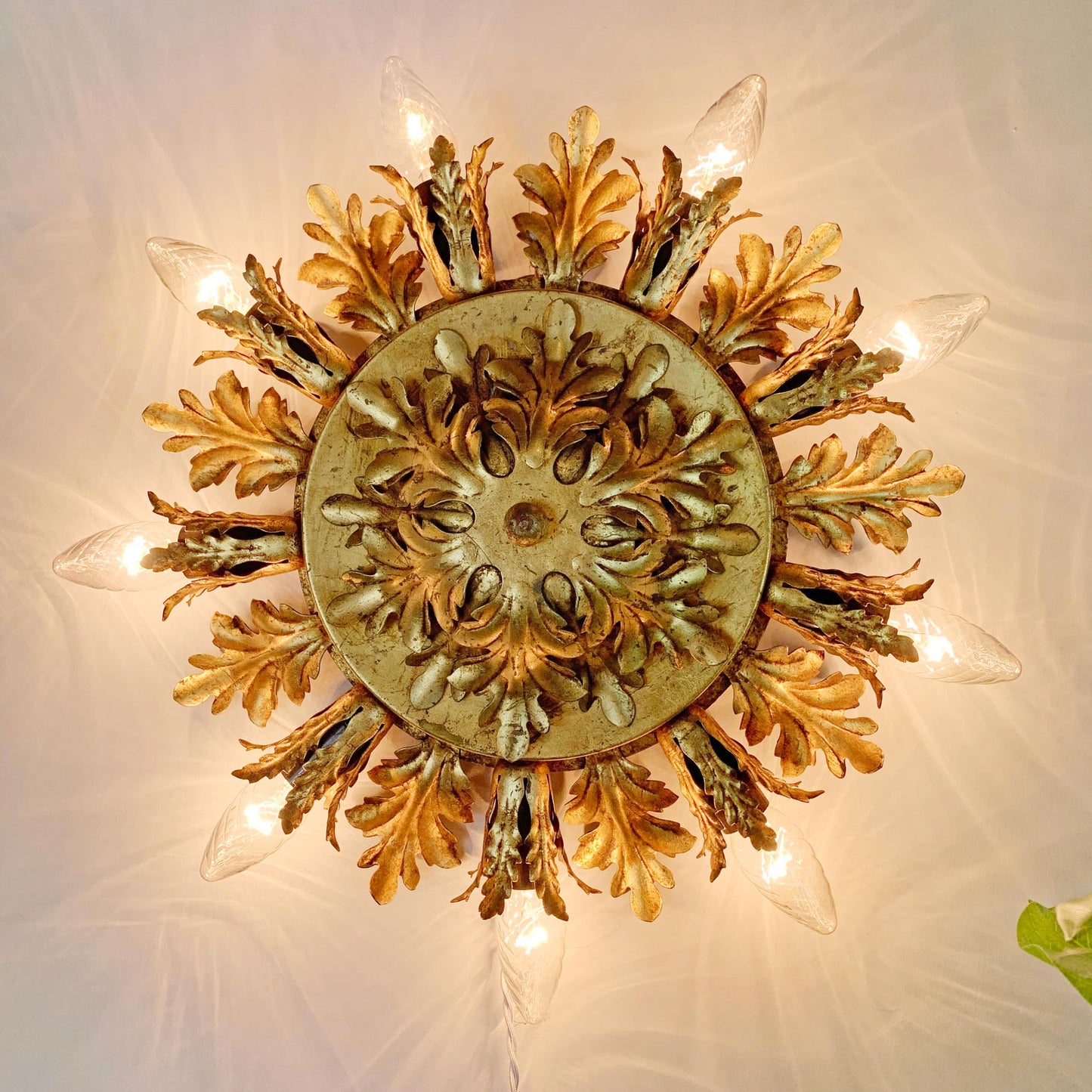 A circular gold and bronze ornate ceiling medallion chandelier with leaf-like rays and clear glass globe bulbs, shown lit against a white background.