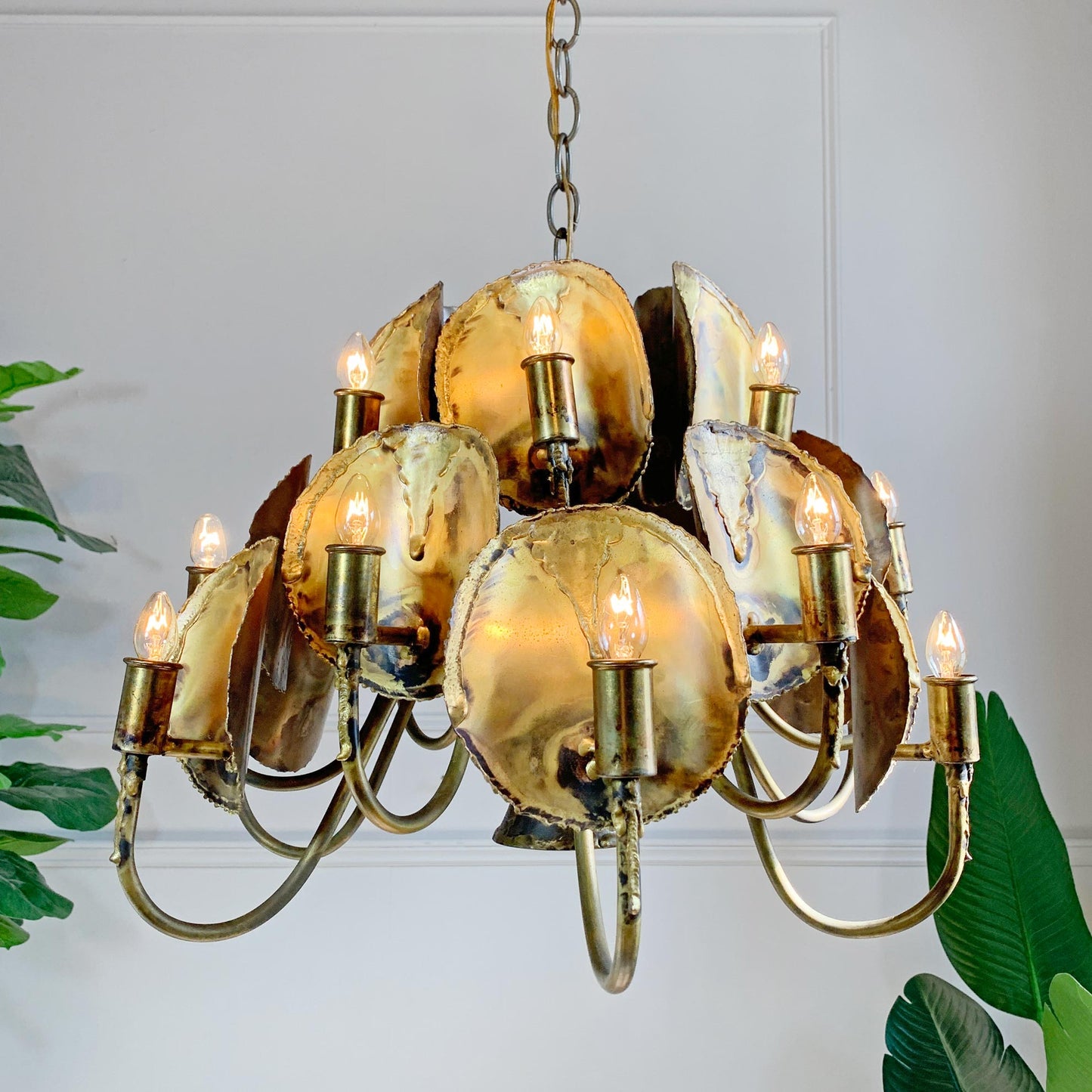A designer chandelier featuring shells as the primary decorative elements, with a polished brass/bronze metal frame, chain suspension, and multiple lit candle-style bulbs. The chandelier is shown hanging against a white paneled wall with green tropical plants visible on both sides.