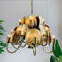 A designer chandelier featuring shells as the primary decorative elements, with a polished brass/bronze metal frame, chain suspension, and multiple lit candle-style bulbs. The chandelier is shown hanging against a white paneled wall with green tropical plants visible on both sides.
