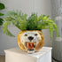 A vintage Italian Lion ceramic planter shaped like a roaring lion&