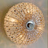 A round, ornate ceiling light fixture covered in clear faceted crystals and metallic gold-toned elements, viewed from directly above against a neutral light background.