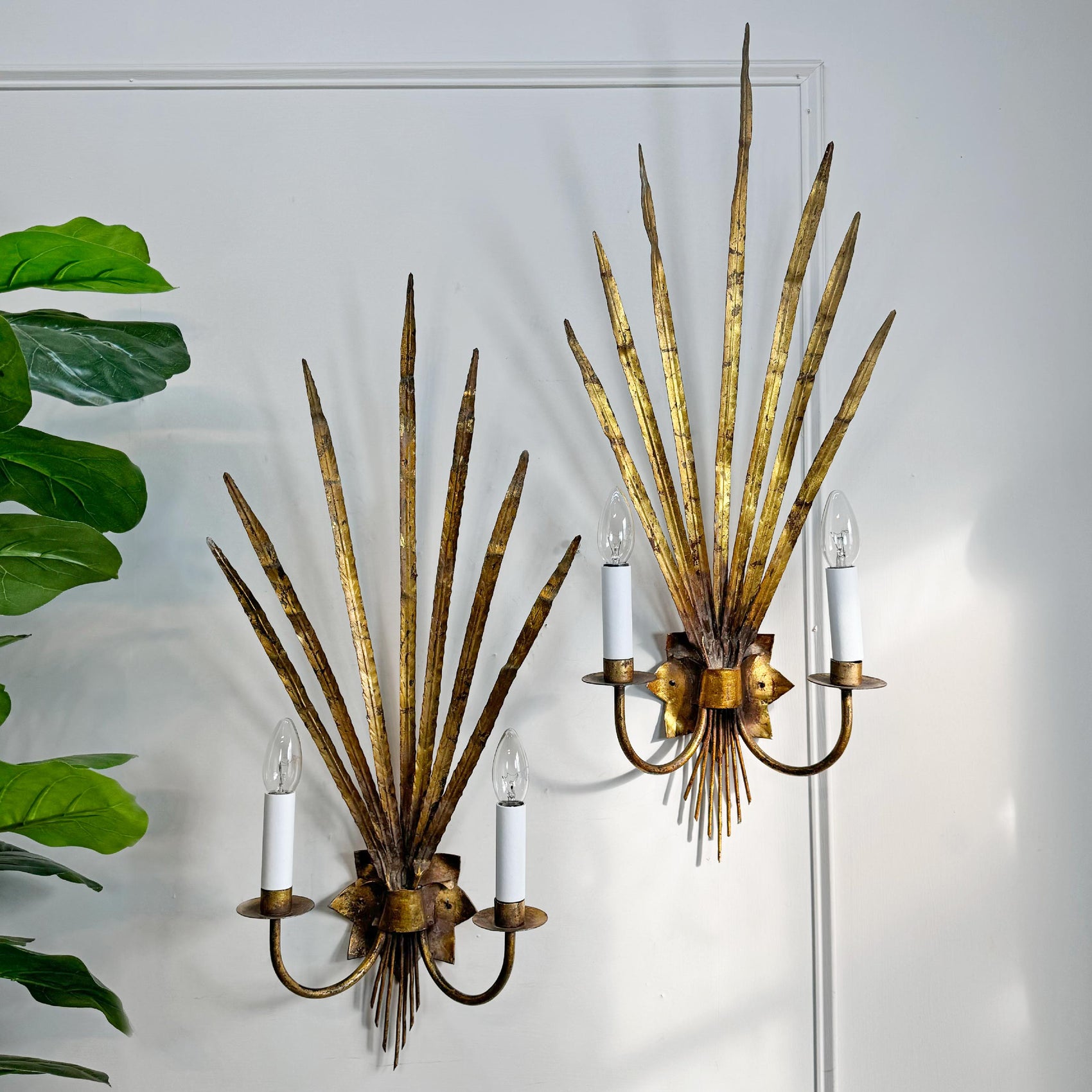 A pair of vintage gold sunburst wall sconces with white candle-style bulbs, mounted on a white wall with a green plant leaf visible on the left.
