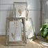 Three framed pressed botanical specimens with distressed silver frames, arranged on a textured beige rug in a styled interior setting with a potted fern and paneled wall.