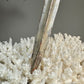 18th Century Carved and Giltwood Dagger / Sword