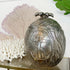 A hammered silver Marc Chagall decorative egg-shaped ice bucket with an embossed anchor and leaf pattern, displayed on a glass shelf with coral and green leaves in the background.