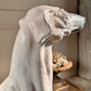 An Impeccable 1950's Italian Life Size Glazed Terracotta Greyhound Statue
