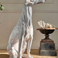 An Impeccable 1950's Italian Life Size Glazed Terracotta Greyhound Statue