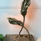 Tommaso Barbi Gold Double Leaf Lamp