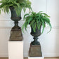 Pair of High Victorian Cast Iron Campana Urns on Plinths