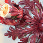 Pair of Rare Banci Firenze Red Acanthus Leaf Flush Ceiling Lights Circa 1950's
