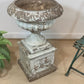19th Century White Terracotta Tazza Urn on Plinth