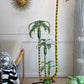 Polychrome Green Palm Tree Floor Lamp France 1940's