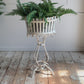 White Arras Jardiniere late 19th Century
