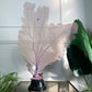 A large fan coral decoration with delicate pale pink and lavender branching structures mounted on a black base, displayed indoors on a glass-topped surface against a white paneled wall, with green plants partially visible at the sides.
